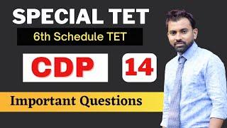 Assam Special TET 2023 || CDP Important Questions || Video 14 || #BTR_TET