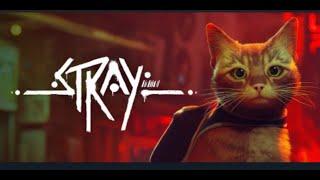 It's Caturday, Let's be a cat and play Stray!