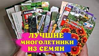 ПРОСТО ПОСЕЙТЕ! ЛУЧШИЕ МНОГОЛЕТНИКИ, которые ЛЕГКО вырастить ИЗ СЕМЯН!