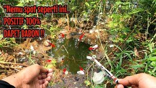 NEMU SPOT SEPERTI INI POSITIF 100% DAPAT BABON || mancing ikan red devil NAHOL MANIA