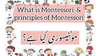 What is Montessori complete detail in Urdu| things you should know before choosing school مونٹیسور ی