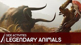 Assassin's Creed Odyssey - All Legendary Animals [The Goddesses' Hunt] Gameplay Walkthrough