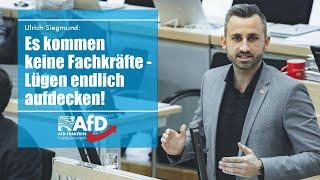 Ulrich Siegmund: Es kommen keine Fachkräfte - Lügen endlich aufdecken!