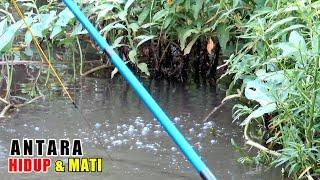 Debut tergila pemancing mempertahankan tahtanya #PR-124