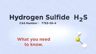 Hydrogen sulfide   what you need to know