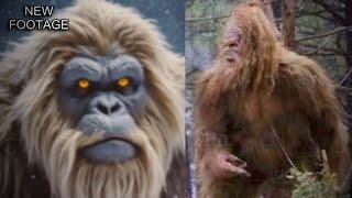 The Most Convincing Bigfoot Videos on the Internet!