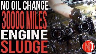 30000 Miles Without an Oil Change | Nissan Doctor