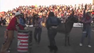 Donkey Abuse at Rodeos