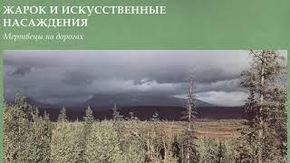 Жарок и Искусственные Насаждения - Мертвецы на дорогах (2020, Russia) {Indie Rock Shoegaze} [lyrics]