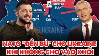 Sợ ông Trump nắm quyền, NATO soạn kế hoạch mới hỗ trợ Ukraine  - Nâng Tầm Kiến Thức