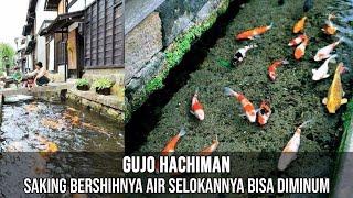Gujo Hachiman: Selokan Paling Bersih di Dunia, Airnya Bisa Diminum
