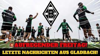 HEUTIGE NACHRICHTEN! ES GESCHIEHT JETZT IN GLADBACH! Neuigkeiten von BORUSSIA M'GLADBACH Heute!