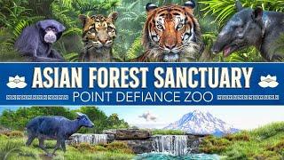 Zooführungen: Mixup Madness | Asiatisches Waldschutzgebiet | Point Defiance Zoo