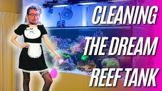 Cleaning The Dream Reef Tank - My Routine!