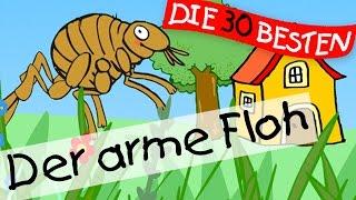 ️ Der arme Floh - Kindergartenlieder zum Mitsingen || Kinderlieder