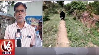 Youth Injured After Bear Attack In Ladunoor Village | Siddipet District | V6 News