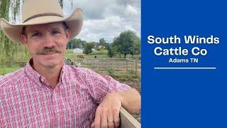 BEST BEEF IN TENNESSEE! | Southwinds Cattle Co | Adams Tennessee