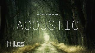 [ Study Sleep Relax ] In The Forest 3H  - Acoustic Background Music (Royalty Free) Lesfm