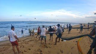 Unique! The Most Fulfilling Traditional Fishing Method Seine Net Fishing In Sri Lanka