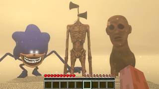 SIREN HEAD VS SHIN SONIC VS HEY MAN STOP A MINUTE IN MINECRAFT