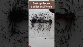 Guess The Poles Are same or different | Magnetic effect of Current | Class 10 Science