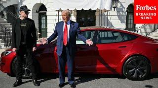 BREAKING NEWS: Trump, Elon Musk Speak To Reporters As POTUS Decides Which Tesla To Buy