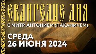 Толкование Евангелия с митрополитом Антонием (Паканичем). Среда, 26 июня 2024 года.