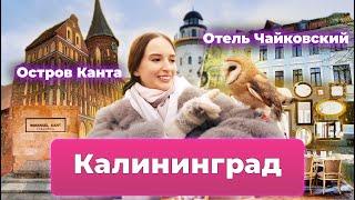 КАЛИНИНГРАД: Мистика и Готика КЁНИГСБЕРГА! 