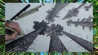 Drawing a Pine Forest in Perspective with Pigma Micron Ink Pen