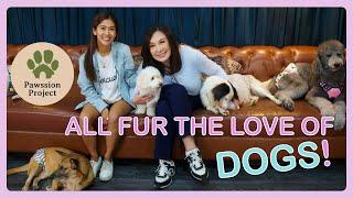 MEGA love for dogs – Pawssion Project