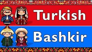 TURKIC: TURKISH & BASHKIR