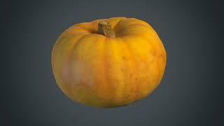 Pumpkin Scan Render Test