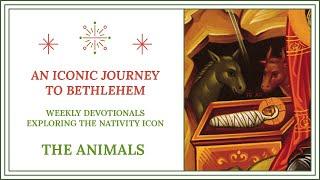 Iconic Journey to Bethlehem: The Animals
