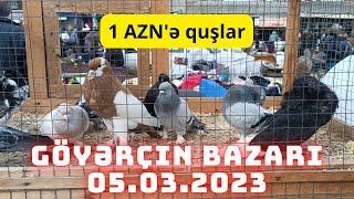 Sabunçu quş bazarı 05.03.2023