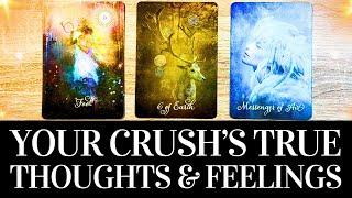 PICK A CARD  Your Crush's TRUE Feelings & Thoughts About You  Timeless Love Tarot Reading