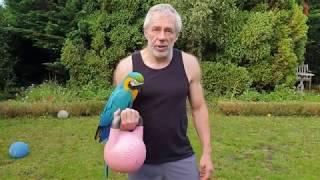 It Rings a Kettle-Bell (part 5). Mastering the Kettlebell Snatch Technique