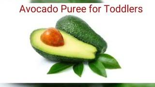 Avocado Puree with Nuts- Health Benefits of Avocado for Kids