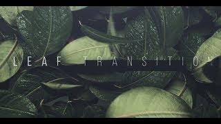 Leaf Transition (After Effects template)