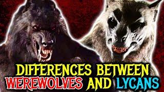 How Are Werewolves Different from Lycans? - Explained - A Side-by-Side Comparison