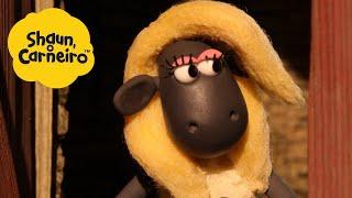 Shaun, o Carneiro [Shaun the Sheep] Ovelha da Beleza  Hora Especial| Cartoons Para Crianças