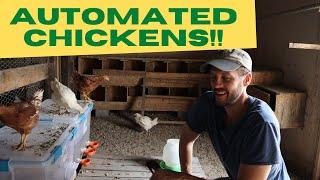 How I Automated My Chickens: Only The Fun Parts Now!!