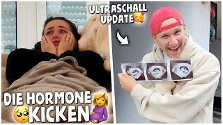 Bei MONE kicken die HORMONE! Ultraschall Update + nur am ESSEN! | kobexmone