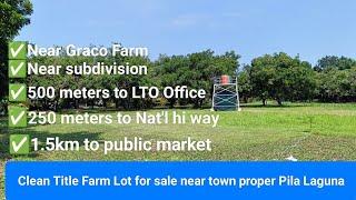 #Vlog228 FARM LOT FOR SALE CLEAN TITLE NEAR PILA LAGUNA TOWN PROPER