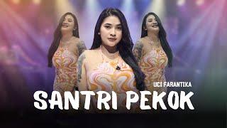 SANTRI PEKOK (GENDUK DENOK SANTRI LULUSAN PONDOK)  - UCI FARANTIKA - JANDUT EVERYWHERE