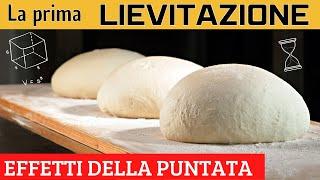 La Prima Lievitazione : Tutto quello che devi sapere! Puntata scientifica