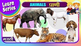 प्राणी - Learn Animals in Marathi | Nursery Rhymes | Preschool Learning For Kids