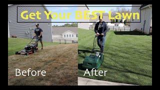 Lawn Renovation Step by Step Guide