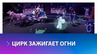 В Ставропольском цирке прошло благотворительное представление