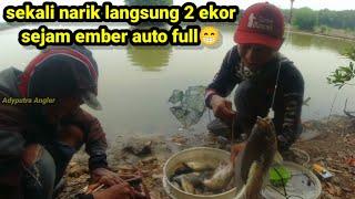 MANCING IKAN NILA/MUJAER DI EMPANG HASIL NYA SANGAT MEMUASKAN