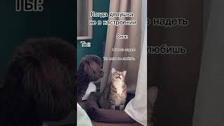 Девушки узнаёте себя?  #youtubeshorts #девушки #приколы